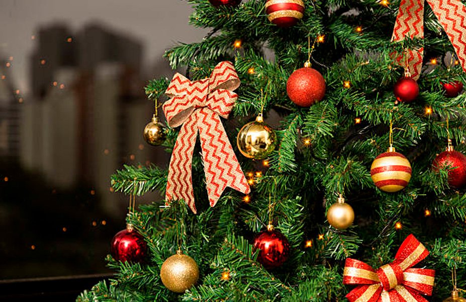 História e significado da árvore de Natal - DONOZEN
